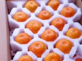 色欲麻豆国产福利精品